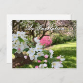 May Flowers Pink Invitation Postcard ポストカード (正面/裏面)