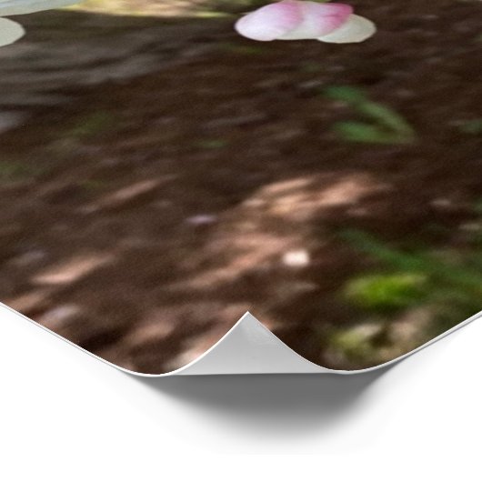 May Flowers Pink Rejoice Always ポスター (角)