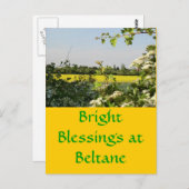 May Tree and Field at Beltane ポストカード (正面/裏面)