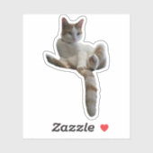 Maybe You Should Cover That Up? Cat シール (シート)