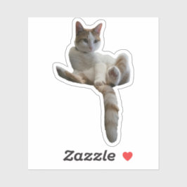 Maybe You Should Cover That Up? Cat シール