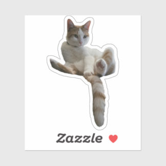 Maybe You Should Cover That Up? Cat シール