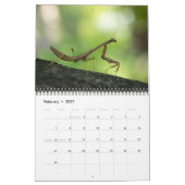 MAYES %PIPE%の写真による2013匹の虫の"特別な"カレンダー カレンダー (2月 2027)