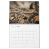 MAYES %PIPE%の写真による2013年の野性生物のカレンダー カレンダー (2月 2026)