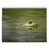 MAYES %PIPE%の写真による2013年の野性生物のカレンダー カレンダー (カバー)