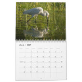 MAYES %PIPE%の写真による2013年の野性生物のカレンダー カレンダー (3月 2027)