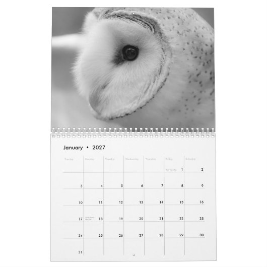 MAYES %PIPE%の写真による2013年の野性生物のカレンダー カレンダー (1月 2027)