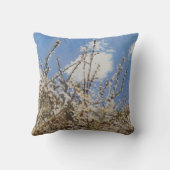 Mayflower 2012年 クッション (裏面)