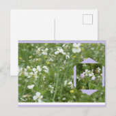 Mayflowers DIY Postcard シーズンポストカード (正面/裏面)