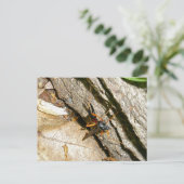 Mayfly女性用はがき ポストカード (スタンド正面)