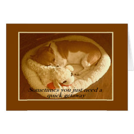 「Maying with Lamb Chop」 5 x 7カード（封筒つき）