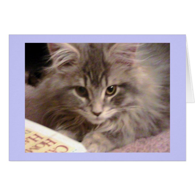 Maynardの屑の新しいカード (正面横)