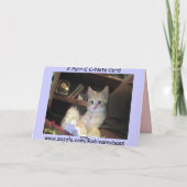 MaynardメインCoon2のとして病人… -カスタマイズ カード (裏面)