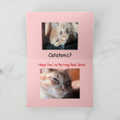 MaynardメインCoon2のとして病人… -カスタマイズ カード (内部)