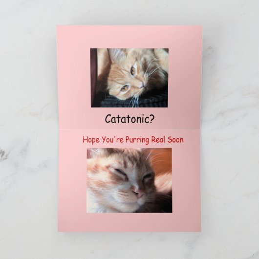 MaynardメインCoon2のとして病人… -カスタマイズ カード (内部)