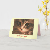 MaynardメインCoon2のとして病人… -カスタマイズ カード (黄色い花)