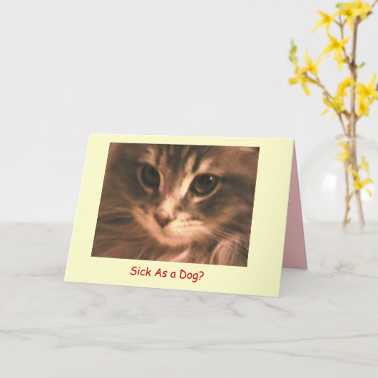 MaynardメインCoon2のとして病人… -カスタマイズ カード (黄色い花)