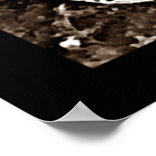 MAYOTTE ART ポスター (角)