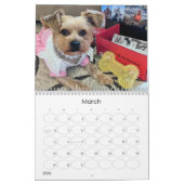 MayzieカレンダーV (2024スタイル) カレンダー (3月 2026)