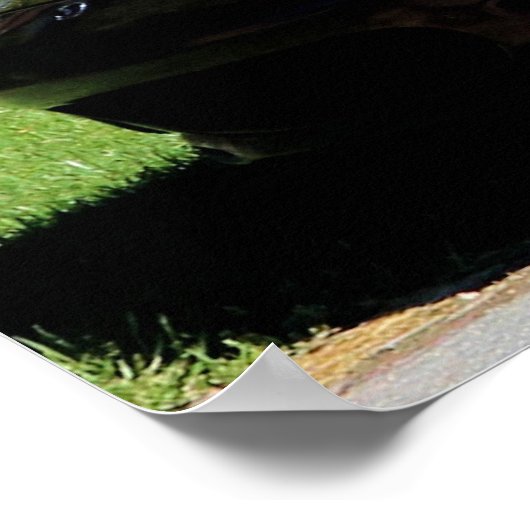 MAZDA MIATA (2000)特別版 ポスター (角)