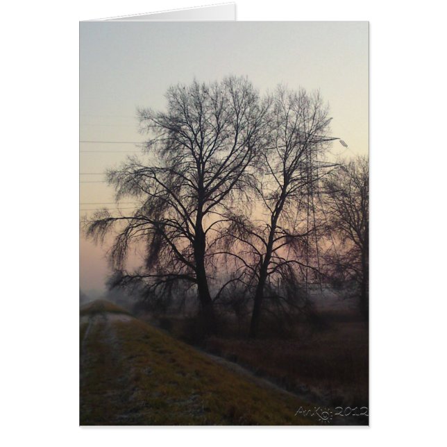 Mazovianの景色1 (正面)