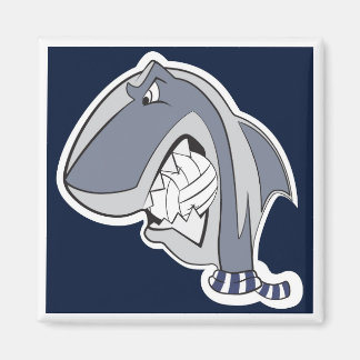 MBB '04 |カラミタ マグネット