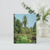 Mc Kinley公園のサクラメントの郵便はがき ポストカード (スタンド正面)