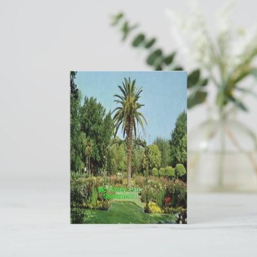 Mc Kinley公園のサクラメントの郵便はがき ポストカード (スタンド正面)