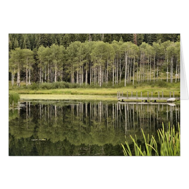 McCallの池 (正面横)