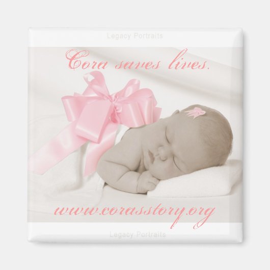 McCormick 8240 S IG, Coraは救www.c... マグネット (正面)