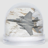 McDonnell Douglas F-15 Eagle (正面)