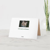 McGonagall猫の挨拶状 カード (裏面)