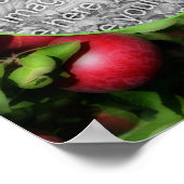 McIntosh Apple自然フレーム独自の写真を作成 ポスター (角)