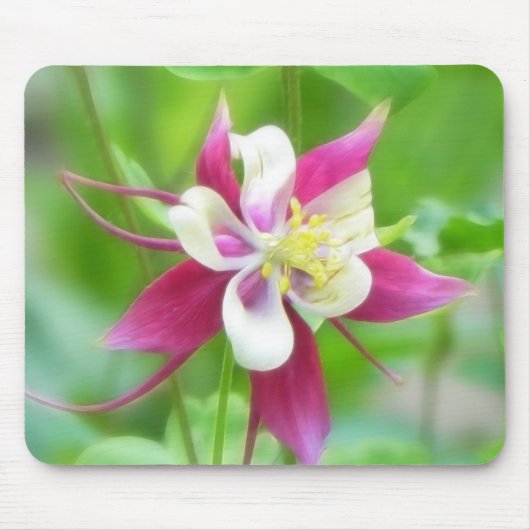 McKanaの明るいタイプオダマキ(植物) マウスパッド (正面)