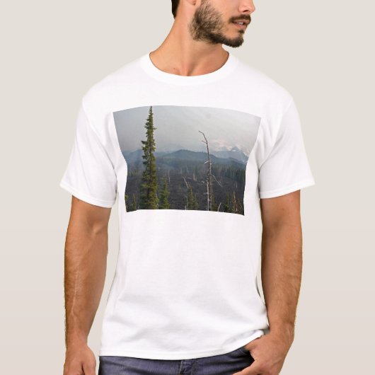 McKenzieのパスオレゴンの溶岩原そしてパノラマ式 Tシャツ (正面)
