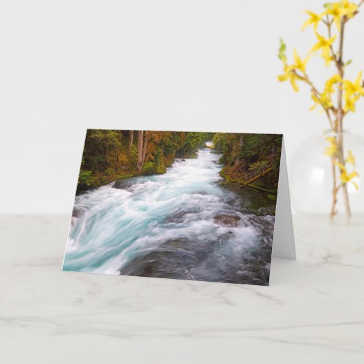 McKenzie River | Oregon カード (黄色い花)