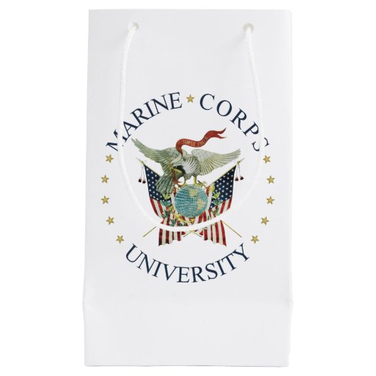 MCU抱き枕 スモールペーパーバッグ (正面)