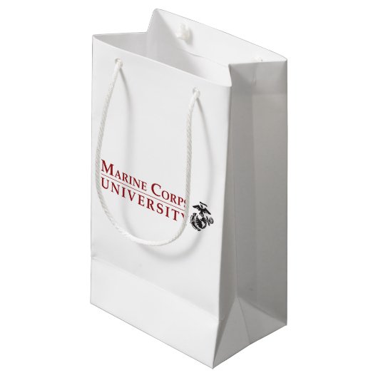 MCU Gift Bag スモールペーパーバッグ (正面アングル)
