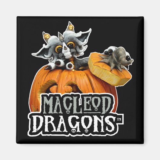 MDかぼちゃドラゴンロゴマグネット マグネット (正面)