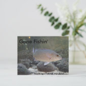 MDのアサーテハ島でフィッシュインを退治 ポストカード (スタンド正面)