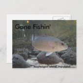 MDのアサーテハ島でフィッシュインを退治 ポストカード (正面/裏面)