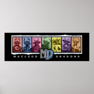 MD 36" x12"人種差別ポスター ポスター