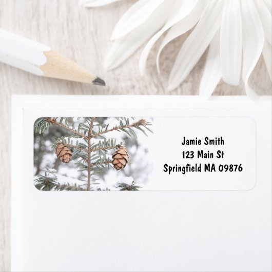 MDG住所 シール「ツイン・ピネコン」 ラベル (インサイチュ)