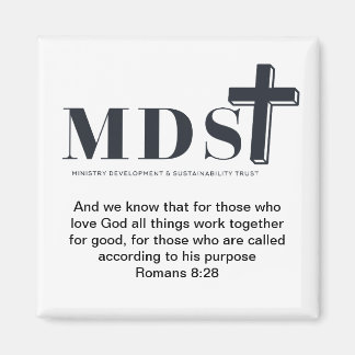 MDST 2 マグネット