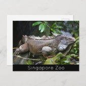 Me Lizardシンガポール動物園を見る シーズンポストカード (正面/裏面)