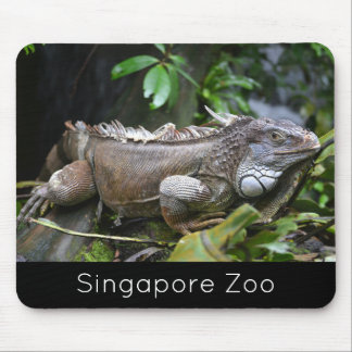 Me Lizardシンガポール動物園を見る マウスパッド