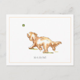 「Me & My Ball」コックパポはがき ポストカード
