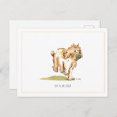 「Me & My Ball」コックパポはがき ポストカード (正面/裏面)