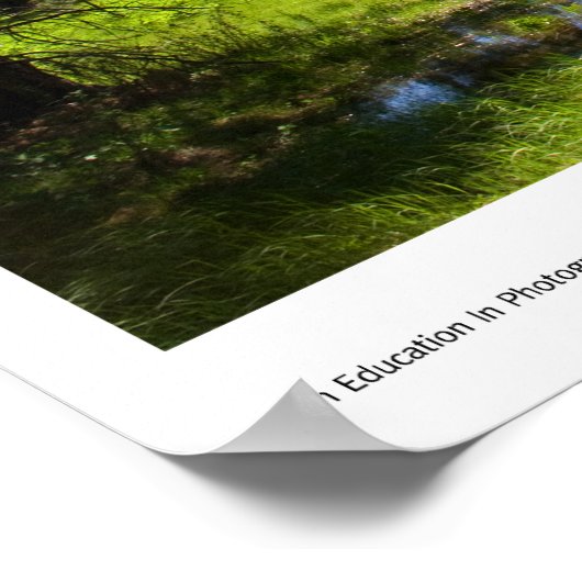 Meadowプリント ポスター (角)