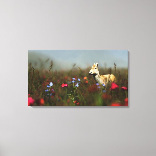 Meadow Canvas Printで読み込む キャンバスプリント (正面)